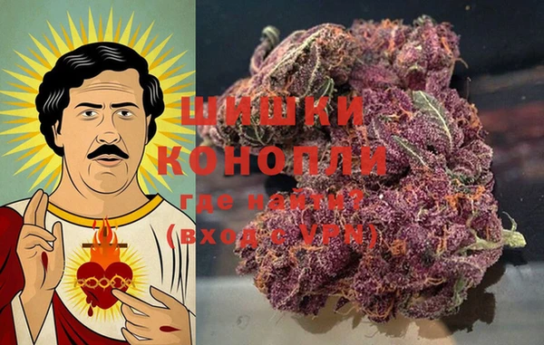 винт Алзамай