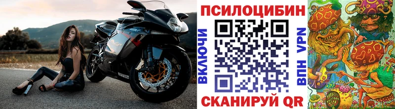 Галлюциногенные грибы прущие грибы  Сертолово 